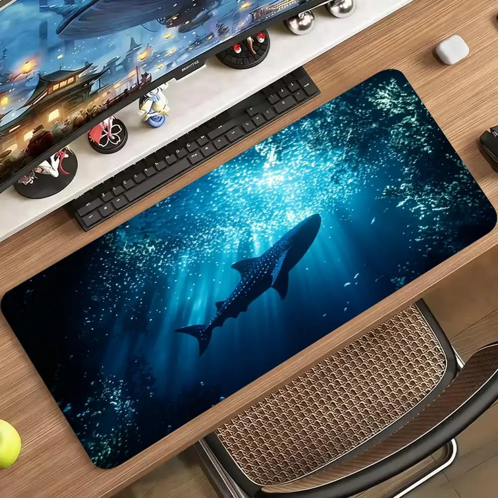 Большой игровой коврик для мыш – обзор и цена Desk Setup Pc And Laptop